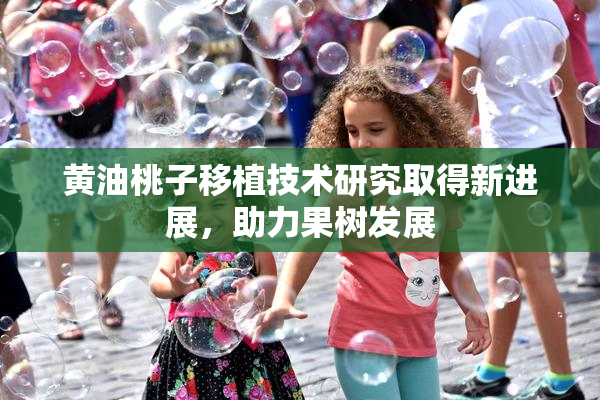 黄油桃子移植技术研究取得新进展，助力果树发展
