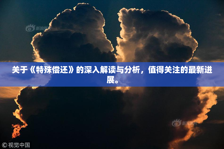 关于《特殊偿还》的深入解读与分析，值得关注的最新进展。