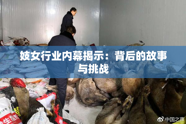 妓女行业内幕揭示：背后的故事与挑战