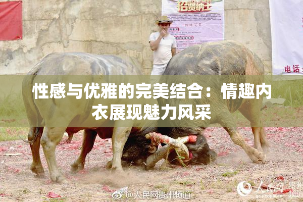 性感与优雅的完美结合：情趣内衣展现魅力风采