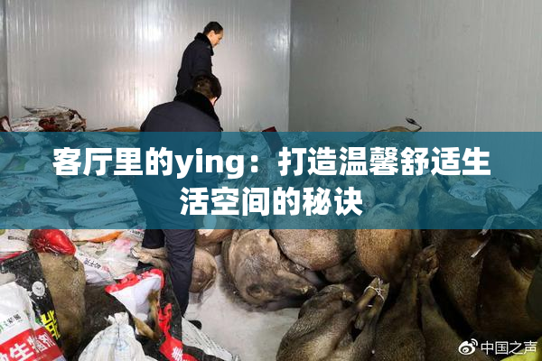 客厅里的ying：打造温馨舒适生活空间的秘诀
