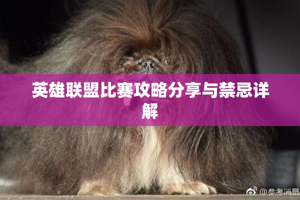 英雄联盟比赛攻略分享与禁忌详解