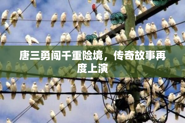 唐三勇闯千重险境，传奇故事再度上演