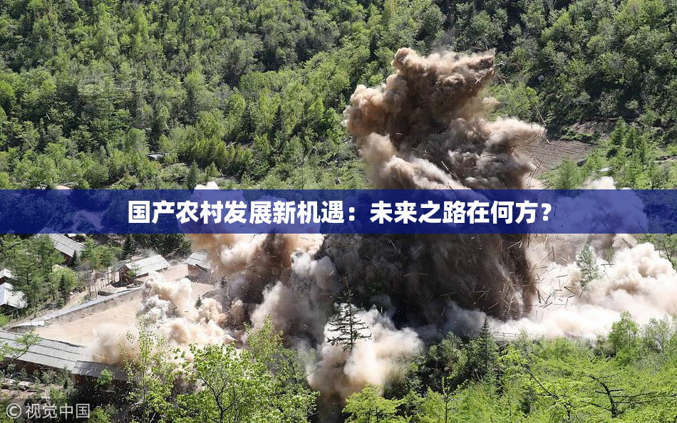 国产农村发展新机遇：未来之路在何方？