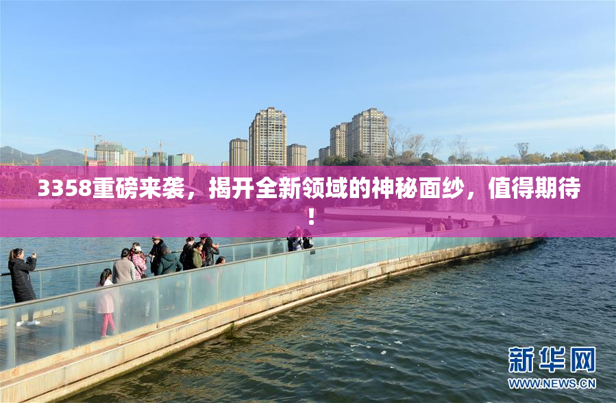 3358重磅来袭，揭开全新领域的神秘面纱，值得期待！