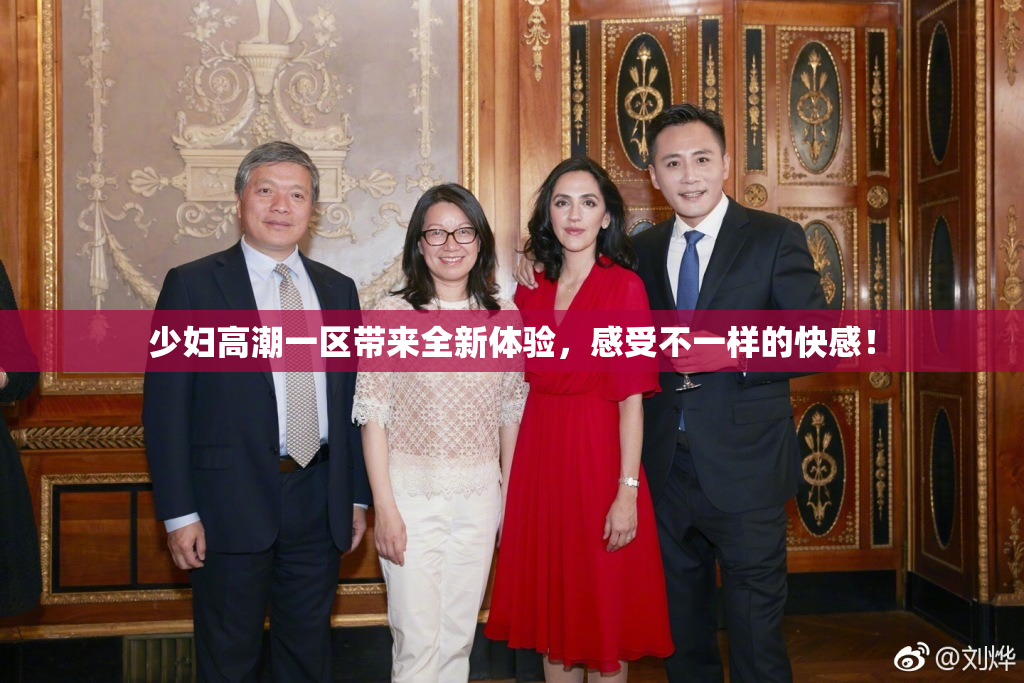 少妇高潮一区带来全新体验，感受不一样的快感！