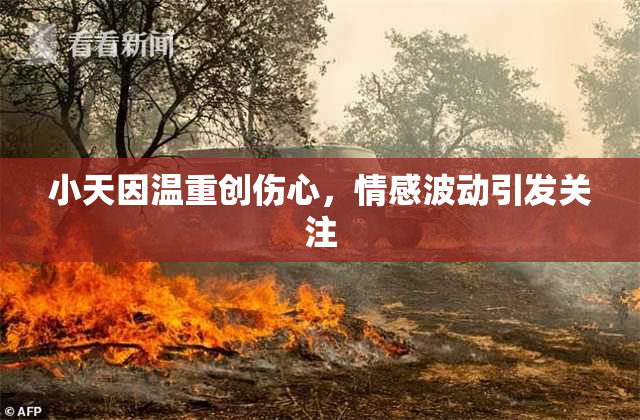 小天因温重创伤心，情感波动引发关注