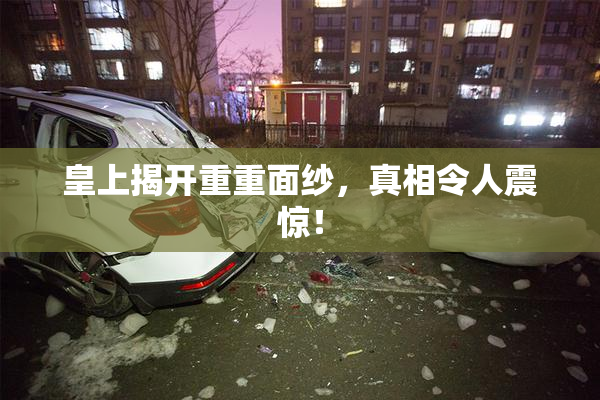 皇上揭开重重面纱，真相令人震惊！