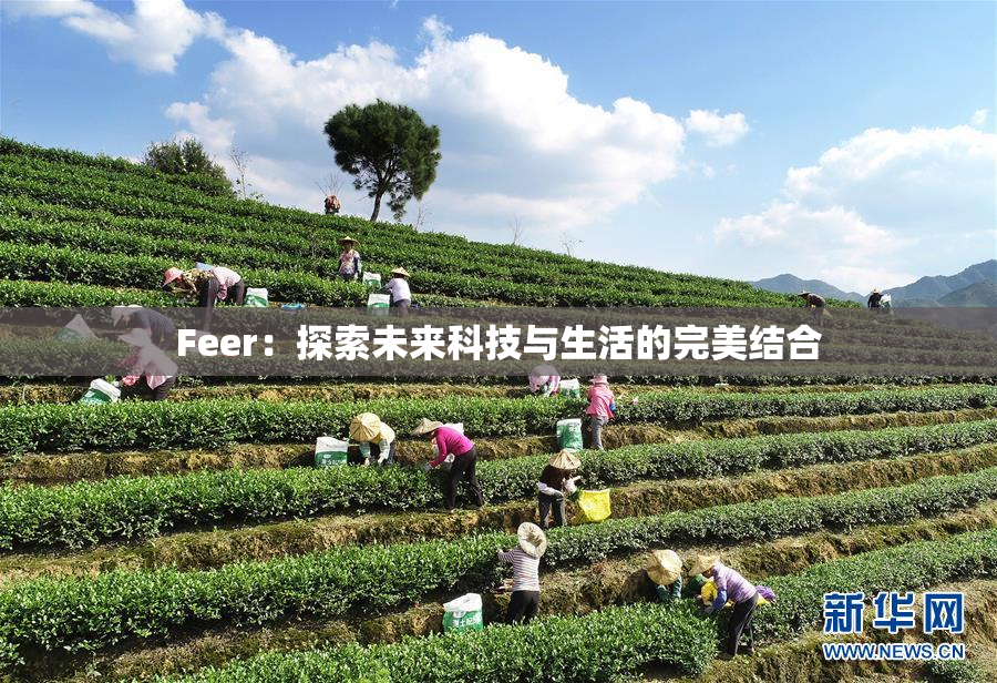 Feer：探索未来科技与生活的完美结合