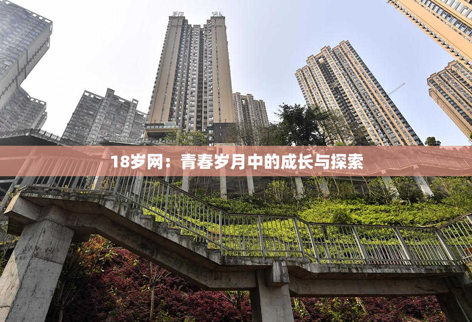 18岁网：青春岁月中的成长与探索