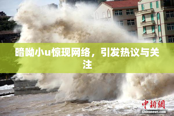 暗呦小u惊现网络，引发热议与关注