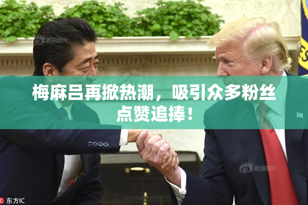 梅麻吕再掀热潮，吸引众多粉丝点赞追捧！
