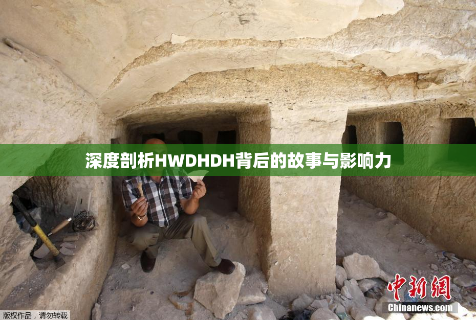深度剖析HWDHDH背后的故事与影响力