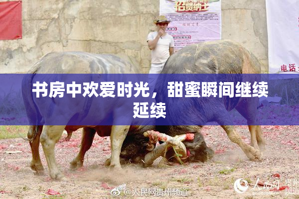 书房中欢爱时光，甜蜜瞬间继续延续