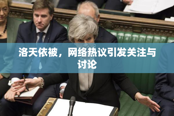 洛天依被，网络热议引发关注与讨论