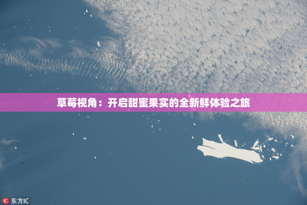 草莓视角：开启甜蜜果实的全新鲜体验之旅