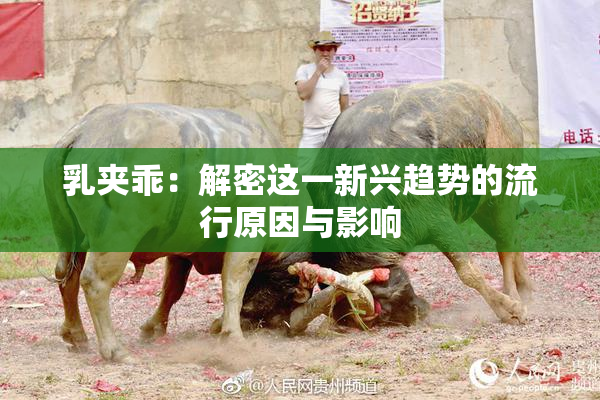 乳夹乖：解密这一新兴趋势的流行原因与影响