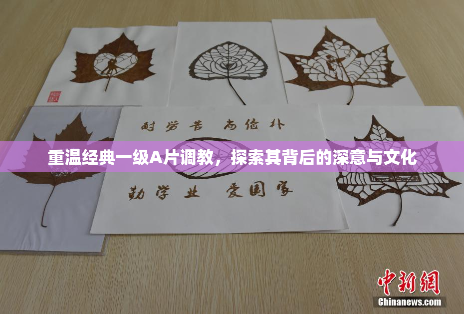 重温经典一级A片调教，探索其背后的深意与文化