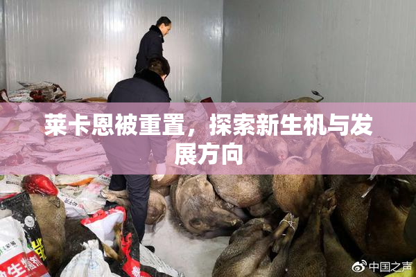 莱卡恩被重置，探索新生机与发展方向