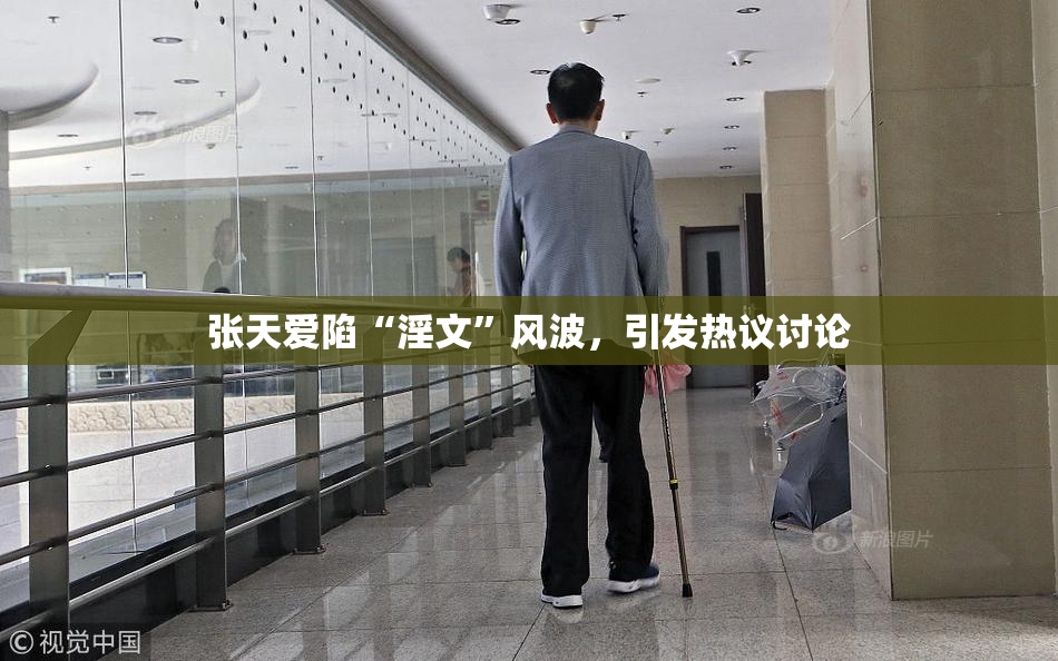 张天爱陷“淫文”风波，引发热议讨论