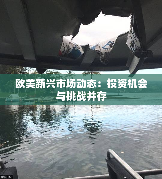 欧美新兴市场动态：投资机会与挑战并存