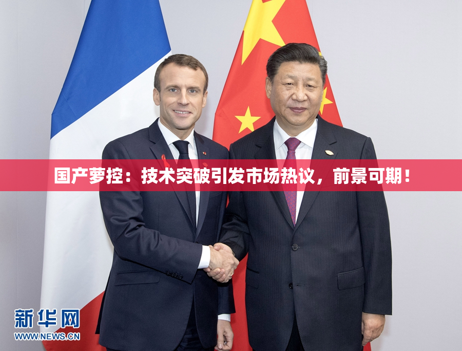 国产萝控：技术突破引发市场热议，前景可期！
