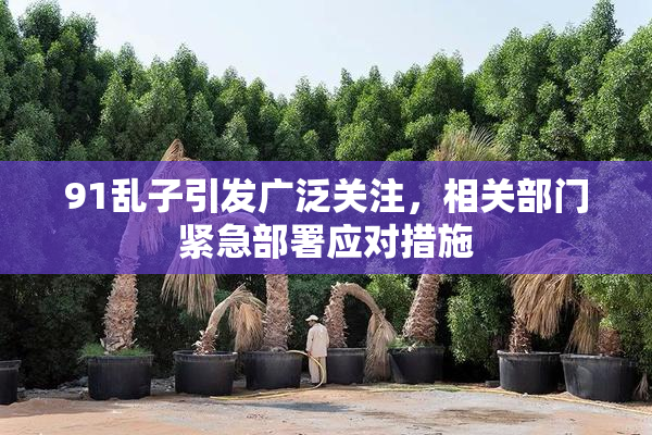 91乱子引发广泛关注，相关部门紧急部署应对措施