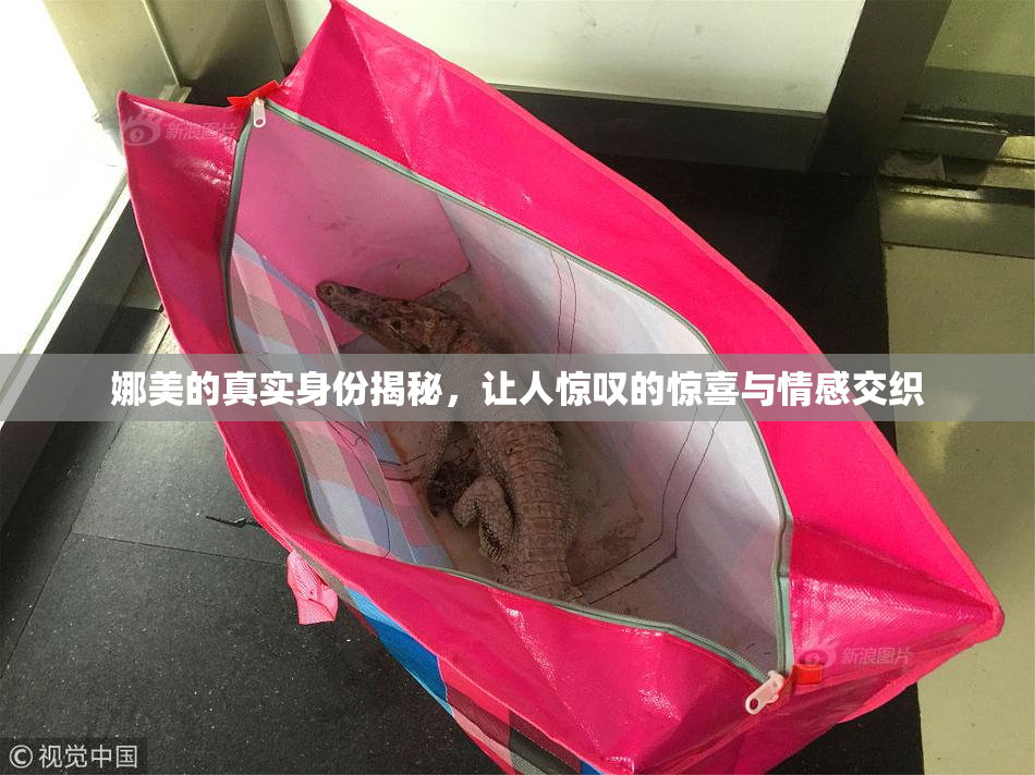 娜美的真实身份揭秘，让人惊叹的惊喜与情感交织