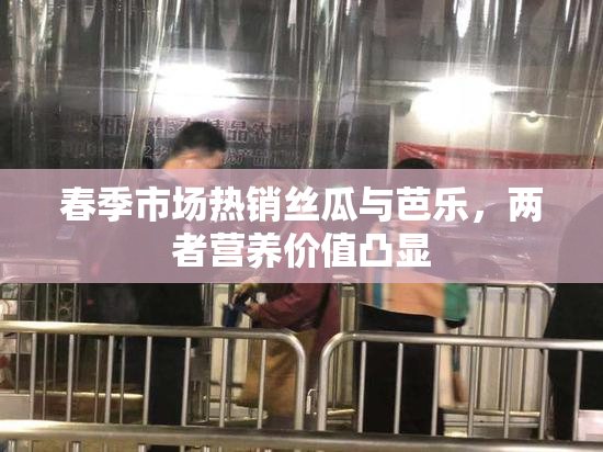 春季市场热销丝瓜与芭乐，两者营养价值凸显