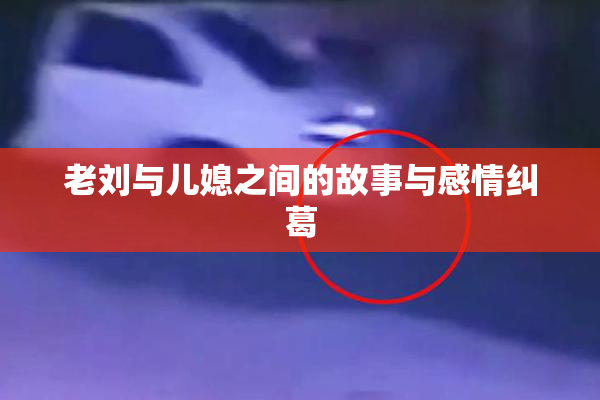 老刘与儿媳之间的故事与感情纠葛