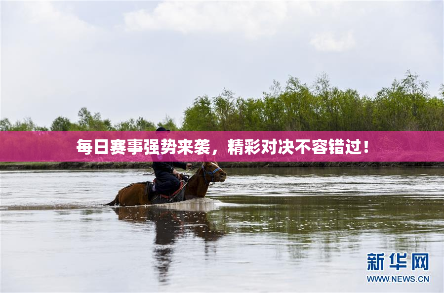 每日赛事强势来袭，精彩对决不容错过！
