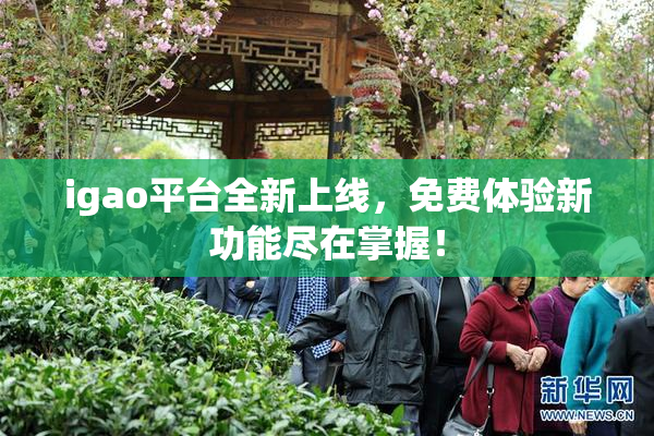 igao平台全新上线，免费体验新功能尽在掌握！