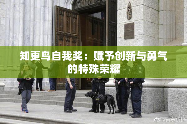 知更鸟自我奖：赋予创新与勇气的特殊荣耀