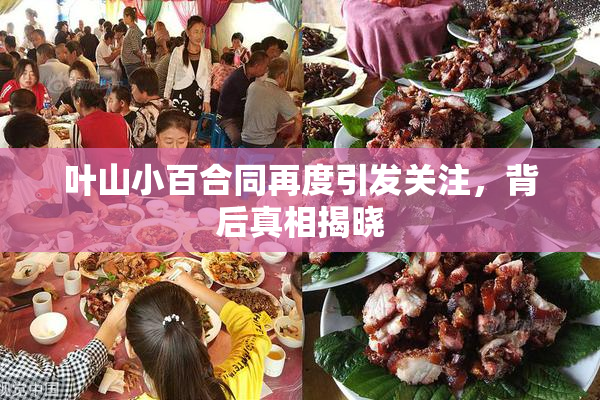 叶山小百合同再度引发关注，背后真相揭晓