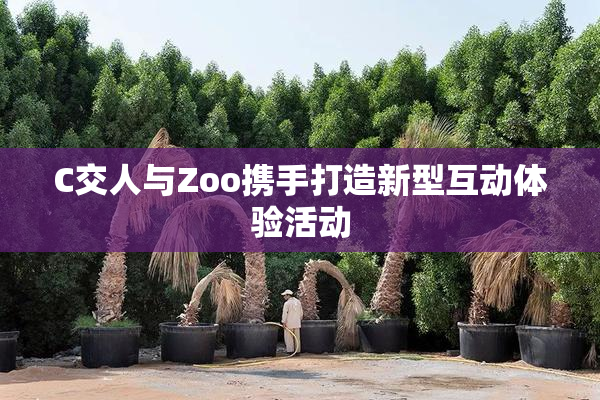 C交人与Zoo携手打造新型互动体验活动
