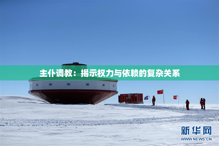 主仆调教：揭示权力与依赖的复杂关系