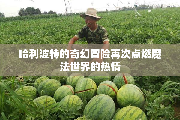哈利波特的奇幻冒险再次点燃魔法世界的热情