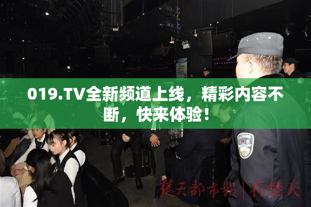 019.TV全新频道上线，精彩内容不断，快来体验！