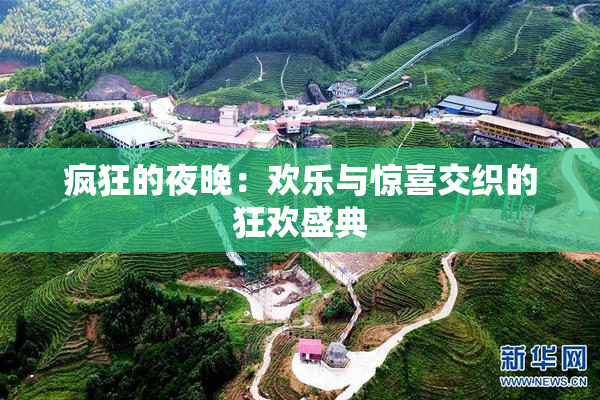 疯狂的夜晚：欢乐与惊喜交织的狂欢盛典