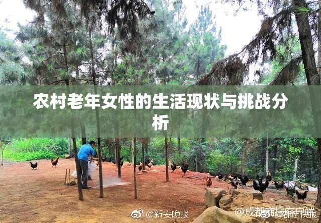农村老年女性的生活现状与挑战分析