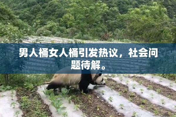 男人桶女人桶引发热议，社会问题待解。