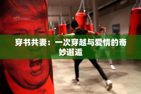 穿书共妻：一次穿越与爱情的奇妙邂逅