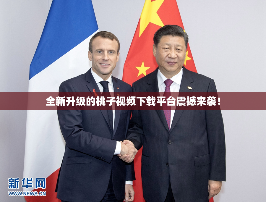 全新升级的桃子视频下载平台震撼来袭！