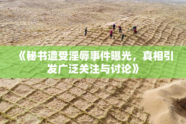 《秘书遭受淫辱事件曝光，真相引发广泛关注与讨论》