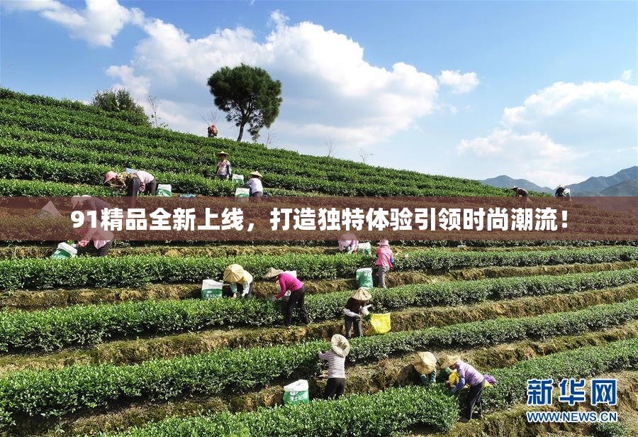 91精品全新上线，打造独特体验引领时尚潮流！