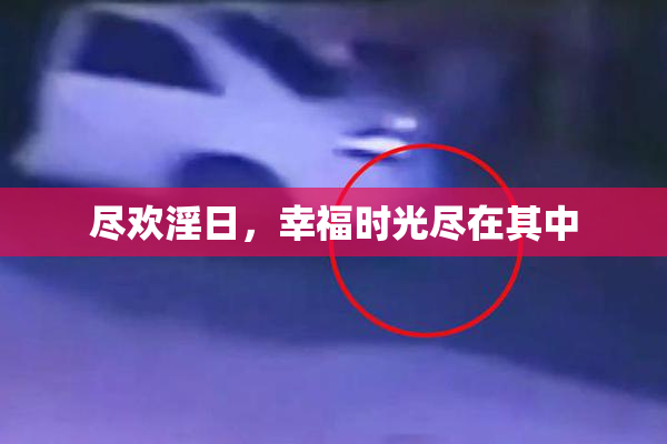 尽欢淫日，幸福时光尽在其中