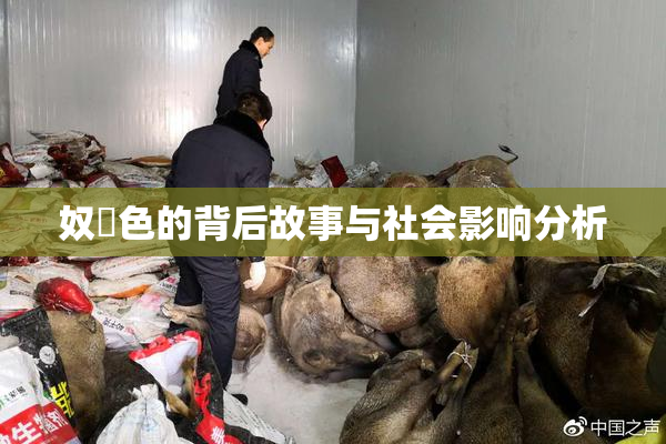 奴隷色的背后故事与社会影响分析