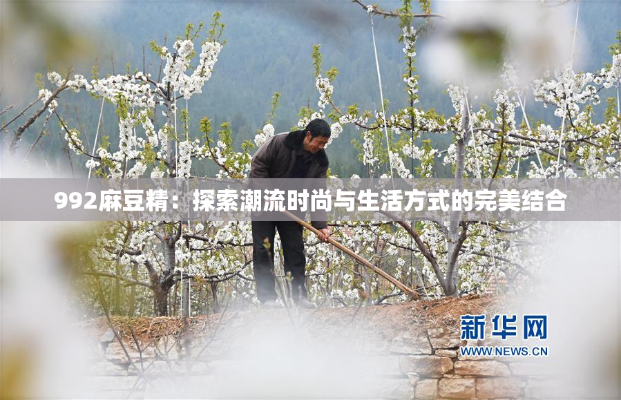 992麻豆精：探索潮流时尚与生活方式的完美结合
