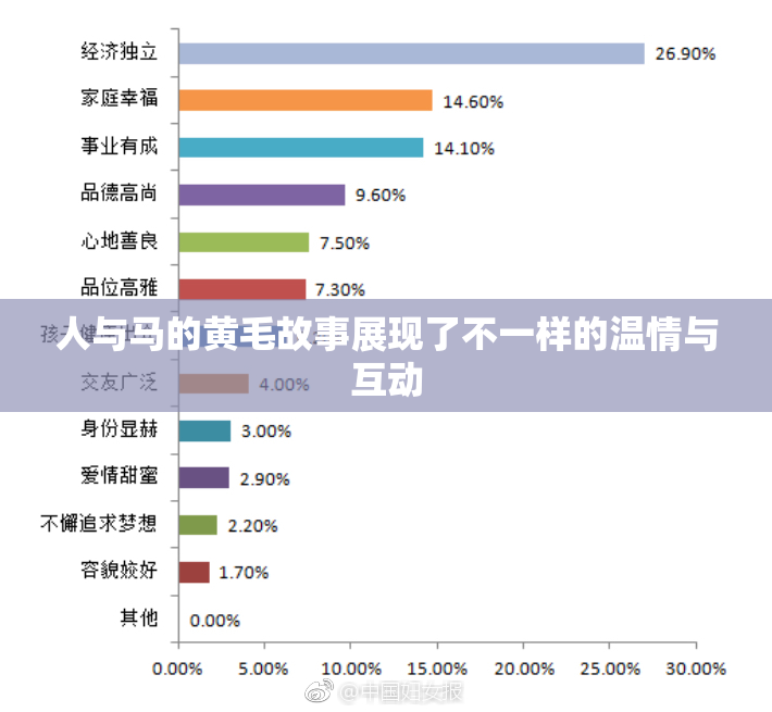 人与马的黄毛故事展现了不一样的温情与互动