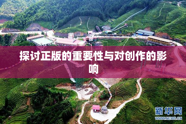 探讨正版的重要性与对创作的影响
